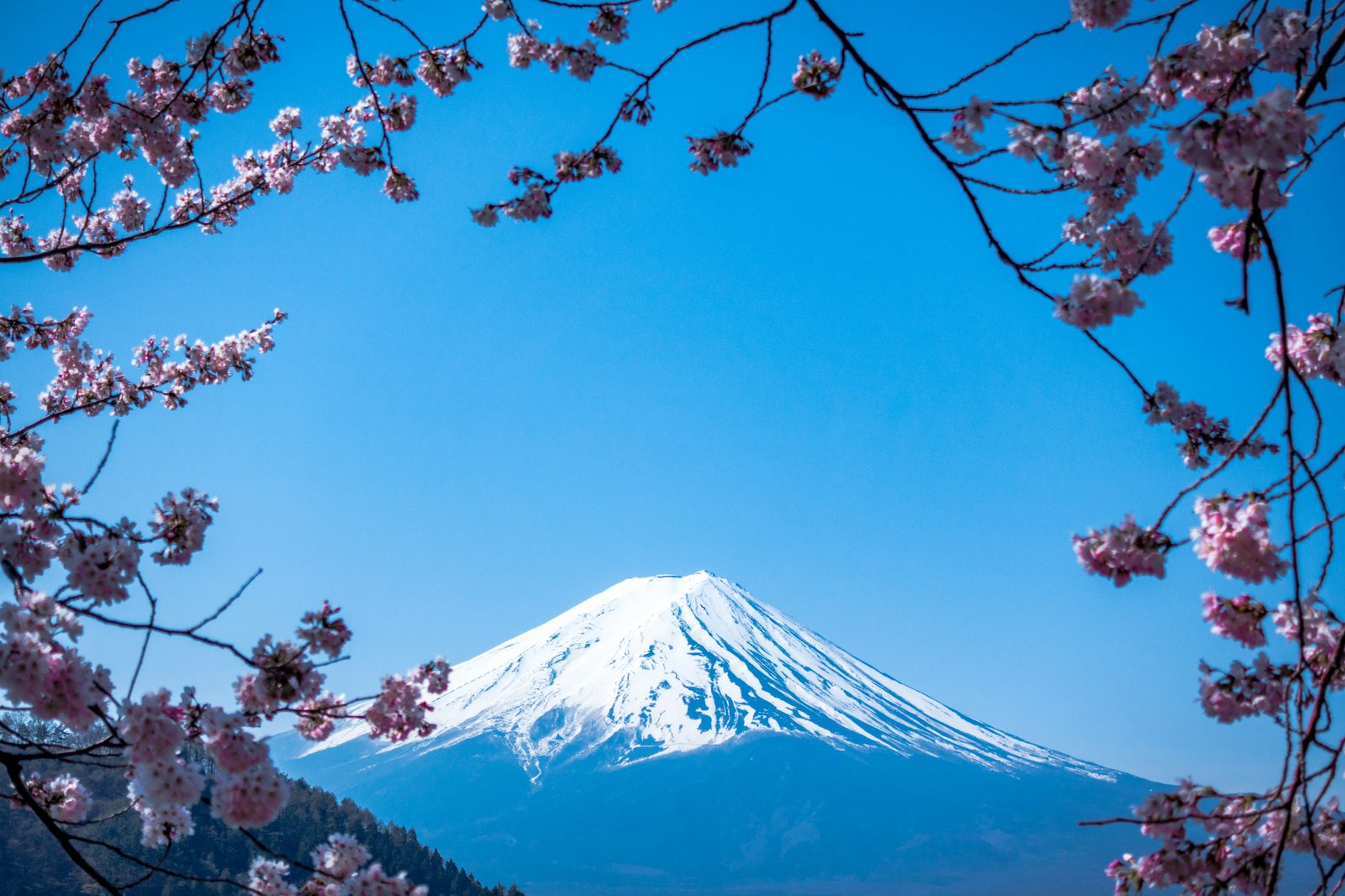 山中湖 Lake Yamanaka + 富士观景 参考图 1